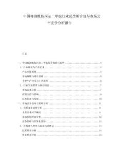 中國椰油酰胺丙基二甲胺行業反壟斷合規與市場公平競爭分析報告