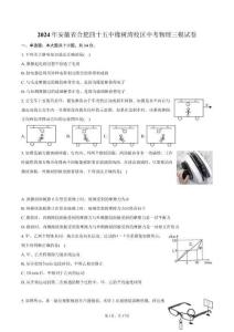 2024年安徽省合肥四十五中橡樹灣校區中考物理三模試卷+答案解析