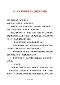 2025年照明燈銷售人員的述職報告