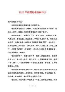 2025年校園的銀杏樹作文