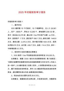 2025年村級財(cái)務(wù)審計(jì)報(bào)告