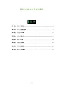 新興市場中的創業生態系統-洞察及研究