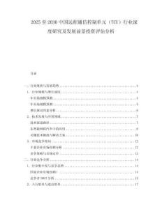 2025至2030中國遠程通信控制單元（TCU）行業深度研究及發展前景投資評估分析