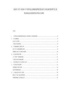 2025至2030中國電動瓶裝吸食泵行業深度研究及發展前景投資評估分析