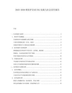 2025-2030壁掛爐企業(yè)ESG實踐與社會責(zé)任報告