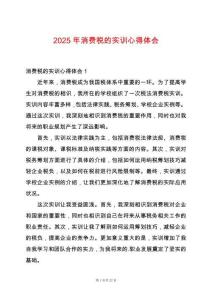 2025年消費稅的實訓(xùn)心得體會