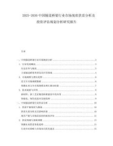 2025-2030中國隧道橋梁行業(yè)市場現(xiàn)狀供需分析及投資評估規(guī)劃分析研究報告