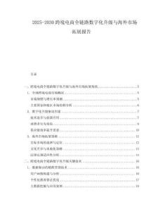 2025-2030跨境電商全鏈路數(shù)字化升級與海外市場拓展報告