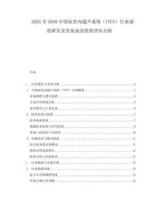 2025至2030中國血管內超聲系統(tǒng)（IVUS）行業(yè)深度研究及發(fā)展前景投資評估分析