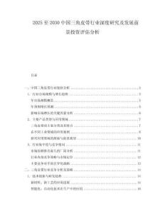 2025至2030中國三角皮帶行業深度研究及發展前景投資評估分析