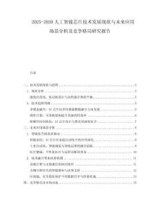 2025-2030人工智能芯片技術(shù)發(fā)展現(xiàn)狀與未來應(yīng)用場(chǎng)景分析及競(jìng)爭(zhēng)格局研究報(bào)告