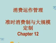 準(zhǔn)時生產(chǎn)與大規(guī)模定制(“消費(fèi)”文檔)共24張
