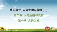 人教 七年級生物上冊  第四單元01-第二章 人的生殖和發育-第一節 人的生殖