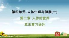 人教 七年級生物上冊  第四單元07-第二章 人體的營養-章末復習提升