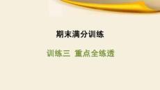 人教 七年級生物上冊  期末滿分訓練09-訓練三 重點全練透