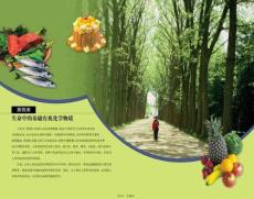 化學選修ⅴ人教新課標油脂課件(共29張PPT)