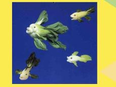 廚師的創造52022優秀文檔