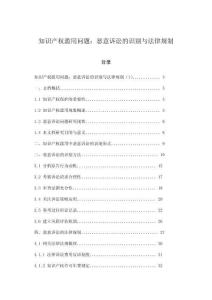知識產權濫用問題：惡意訴訟的識別與法律規制