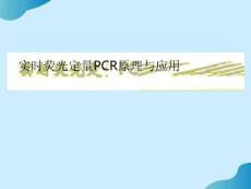 實時熒光定量PCR原理PPT文檔