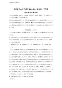 四川省涼山州西昌市2024-2025學年高一下學期期中考試歷史試題（解析版）