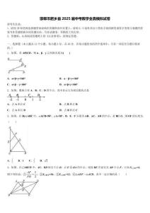 邯鄲市肥鄉縣2025屆中考數學全真模擬試卷含解析