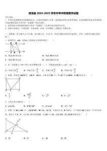 清流縣2024-2025學年中考沖刺卷數學試題含解析