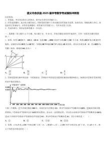 遵義市余慶縣2025屆中考數學考試模擬沖刺卷含解析