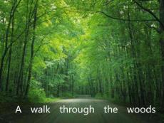 新概念英語第一冊課件NCE1-lesson143-144(共20頁)PPT文檔