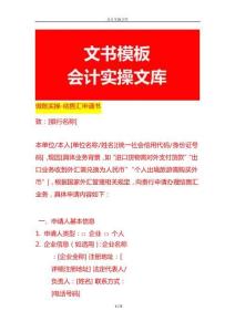 做賬實操-結售匯申請書