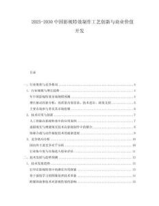 2025-2030中國影視特效制作工藝創新與商業價值開發