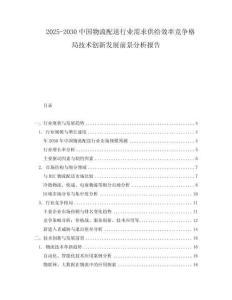 2025-2030中國物流配送行業需求供給效率競爭格局技術創新發展前景分析報告