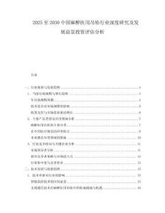 2025至2030中國(guó)麻醉醫(yī)用吊墜行業(yè)深度研究及發(fā)展前景投資評(píng)估分析