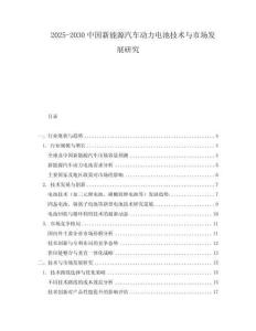 2025-2030中國新能源汽車動力電池技術與市場發展研究