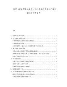 2025-2030鋰電池負極材料技術路線競爭與產能過剩風險預警報告
