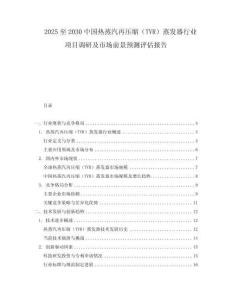 2025至2030中國熱蒸汽再壓縮（TVR）蒸發器行業項目調研及市場前景預測評估報告