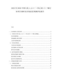 2025至2030中國六氫135三（羥乙基）S三嗪行業項目調研及市場前景預測評估報告
