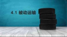 4.1被動運輸 課件(內嵌視頻) 高一生物（人教版）必修1