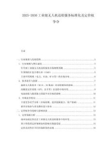 2025-2030工業級無人機巡檢服務標準化及定價權爭奪