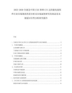 2025-2030全球及中國CIGS和和CIS太陽能電池組件行業(yè)市場現(xiàn)狀供需分析及市場深度研究發(fā)展前景及規(guī)劃可行性分析研究報(bào)告
