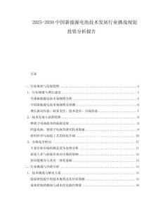 2025-2030中國新能源電池技術(shù)發(fā)展行業(yè)挑戰(zhàn)規(guī)劃投資分析報(bào)告
