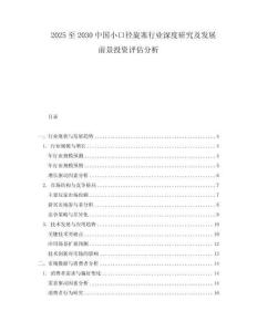 2025至2030中國小口徑旋塞行業深度研究及發展前景投資評估分析