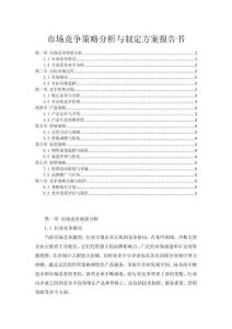 市場競爭策略分析與制定方案報告書