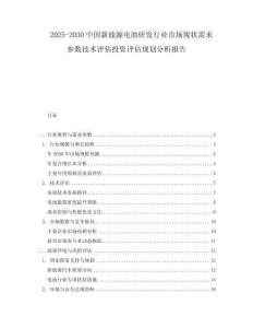 2025-2030中國新能源電池研發行業市場現狀需求參數技術評估投資評估規劃分析報告