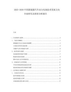 2025-2030中國新能源汽車動力電池技術發展方向全面研究及投資分析報告