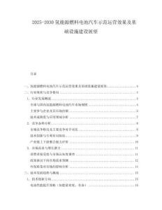 2025-2030氫能源燃料電池汽車示范運營效果及基礎設施建設展望