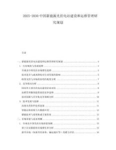 2025-2030中國(guó)新能源光伏電站建設(shè)和運(yùn)維管理研究規(guī)劃