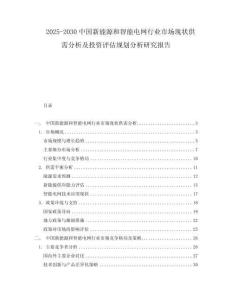 2025-2030中國(guó)新能源和智能電網(wǎng)行業(yè)市場(chǎng)現(xiàn)狀供需分析及投資評(píng)估規(guī)劃分析研究報(bào)告
