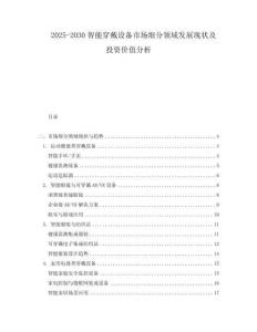 2025-2030智能穿戴設備市場細分領域發展現狀及投資價值分析