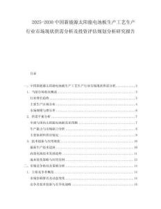 2025-2030中國(guó)新能源太陽(yáng)能電池板生產(chǎn)工藝生產(chǎn)行業(yè)市場(chǎng)現(xiàn)狀供需分析及投資評(píng)估規(guī)劃分析研究報(bào)告