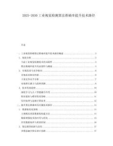2025-2030工業(yè)視覺檢測算法準確率提升技術(shù)路徑